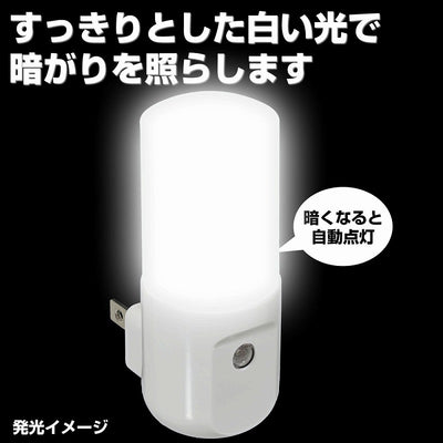 朝日電器（ELPA）　LEDセンサー付ライト コンセント差込タイプ　ホワイト　【品番：PM-L160（W）】