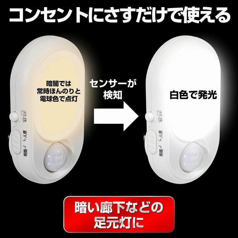 朝日電器（ELPA）　LEDセンサー付ライト コンセント差込タイプ　ホワイト　【品番：PM-L240】