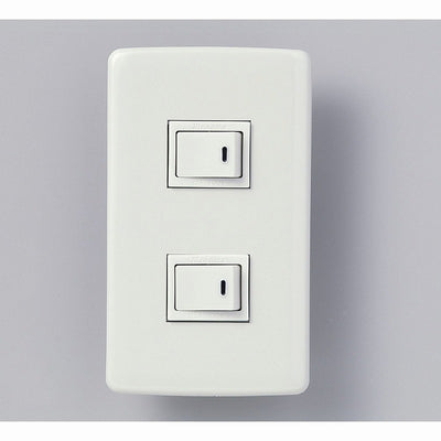【メール便対応】朝日電器（ELPA）　エレガントセット 15A 300V 片切スイッチ×2　【品番：B-1955H】