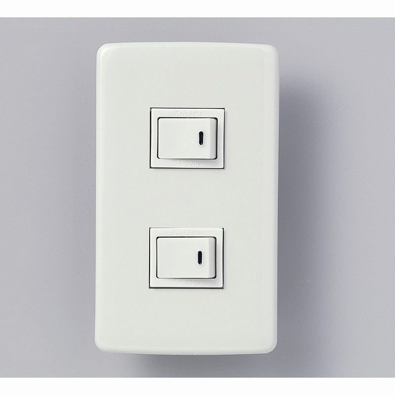 【メール便対応】朝日電器（ELPA）　エレガントセット 15A 300V 片切スイッチ×2　【品番：B-1955H】