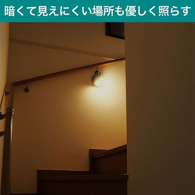 朝日電器（ELPA）　もてなしのあかり　白色/電球色　【品番：HLH-2205】