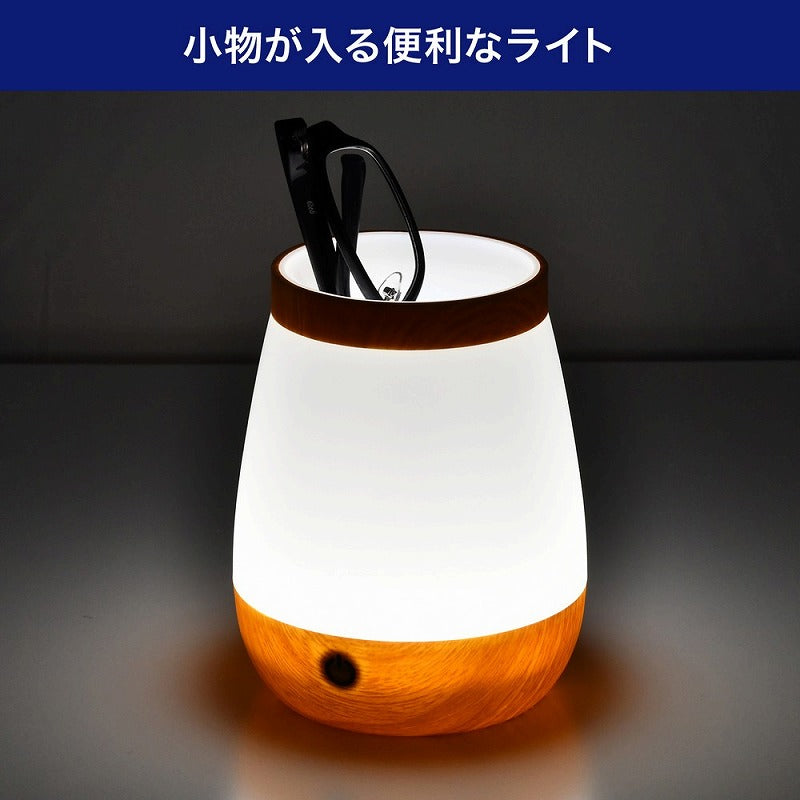 朝日電器（ELPA）　LED小物が入るライト　【品番：PM-LP101】
