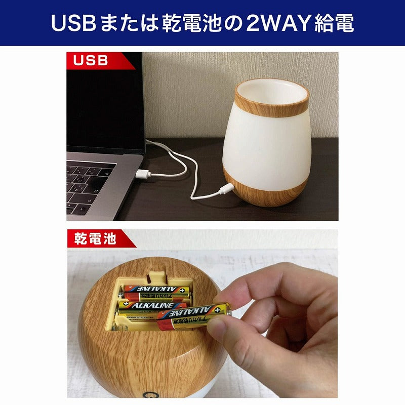 朝日電器（ELPA）　LED小物が入るライト　【品番：PM-LP101】