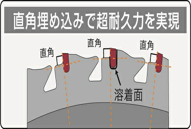 三陽金属　刈払機用チップソー　頑固荒刈 外径255mm×刃数40P　【品番：0391】●