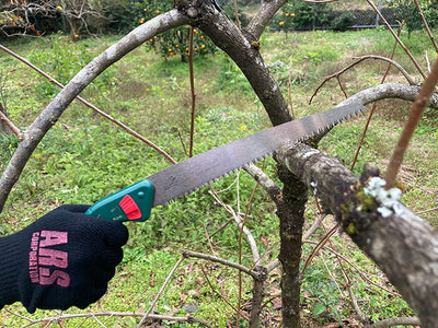 アルスコーポレーション　生木剪定鋸24　【品番：NK-24】