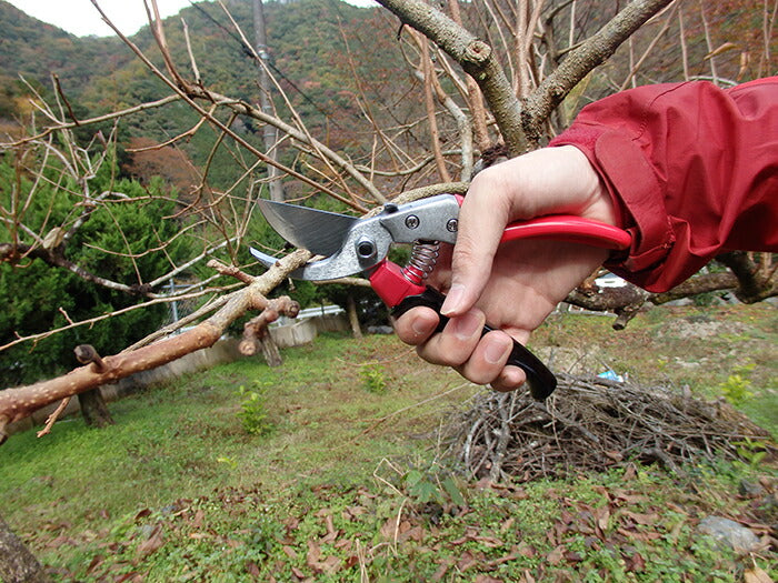 アルスコーポレーション　ブイエスエイト ロータリー　【品番：VS-8R】