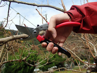 アルスコーポレーション　ブイエスナイン ロータリー　【品番：VS-9R】