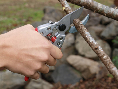 【メール便対応】アルスコーポレーション　アンビル剪定鋏 8インチ　【品番：VA-8Z】