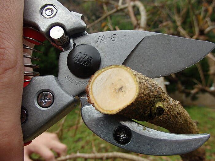 【メール便対応】アルスコーポレーション　アンビル剪定鋏 8インチ　【品番：VA-8Z】