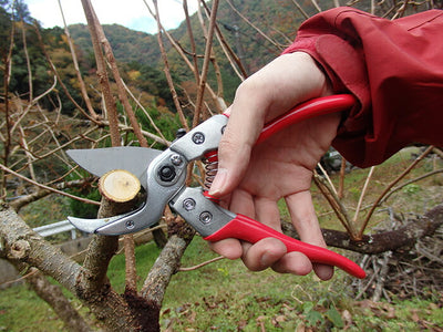 【メール便対応】アルスコーポレーション　アンビル剪定鋏 8インチ　【品番：VA-8Z】