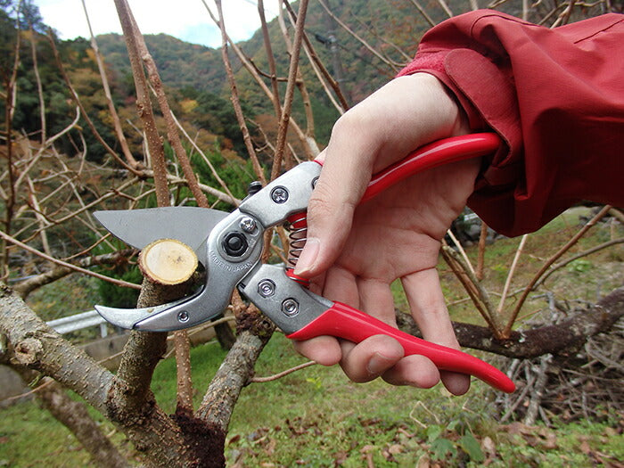 【メール便対応】アルスコーポレーション　アンビル剪定鋏 8インチ　【品番：VA-8Z】