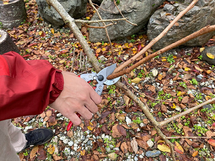 【メール便対応】アルスコーポレーション　アンビル剪定鋏 8インチ　【品番：VA-8Z】