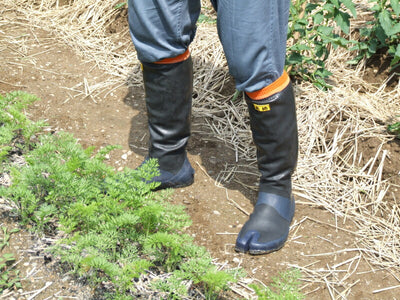 アトム　らくらく長靴 大地 指付　S　【品番：351T】
