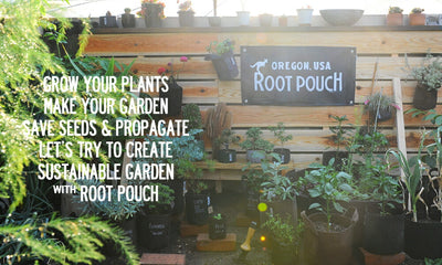 root pouch（ルーツポーチ）　リサイクルペットボトルとリサイクル天然素材から作られた不織布製の植木鉢　Black with handles　3.8liter