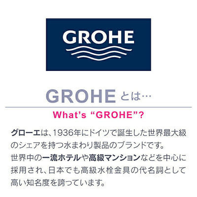 カクダイ　GAONA ヤータモン・カーチス グローエ４ＷＡＹシャワーホースセット　【品番：GA-FH008】