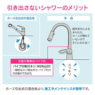 カクダイ　GAONA これエエやん ワンホールシングルレバー混合栓（シャワー付、寒冷地仕様）　【品番：GA-BF005K】