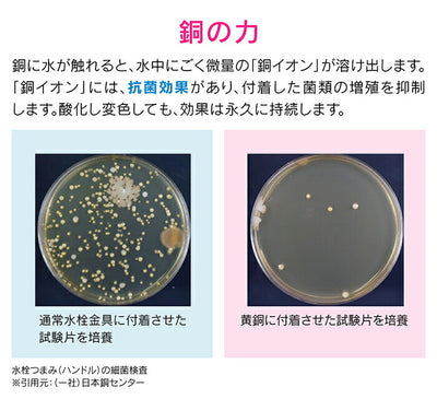 カクダイ　GAONA これカモ 流し用カゴ　【品番：GA-PB045】