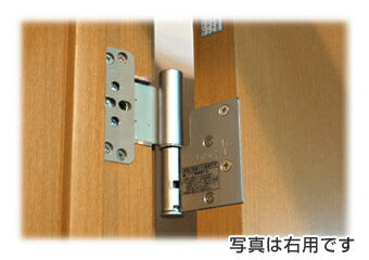 DAIKEN ドア丁番セット 2枚吊扉用（ボルトネジ仕様） 右開き T