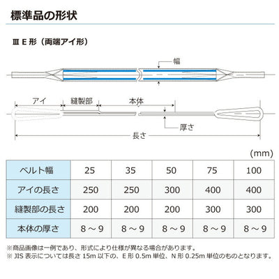 東レインターナショナル　ポリエステルスリング PET3E 両端アイ形 0.8ton 幅25mm 長さ10m　【品番：PET3E 25×10.0】