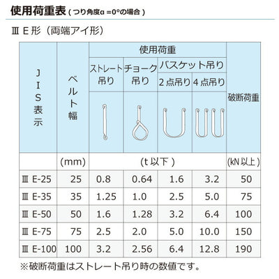 東レインターナショナル　ポリエステルスリング PET3E 両端アイ形 3.2ton 幅100mm 長さ3m　【品番：PET3E 100×3.0】