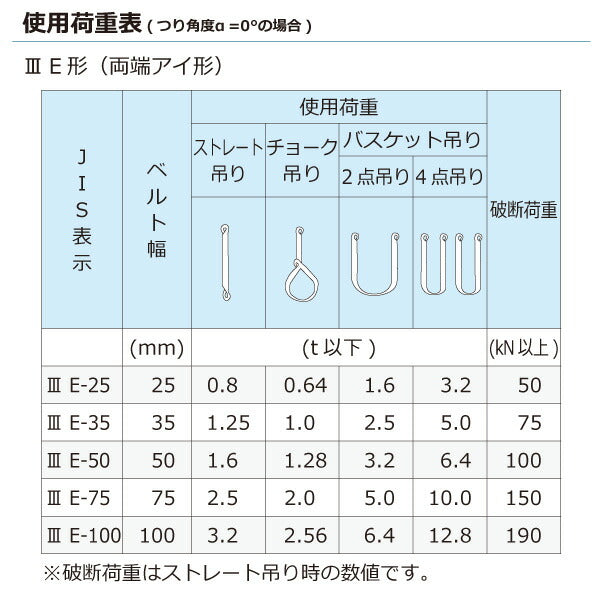 東レインターナショナル　ポリエステルスリング PET3E 両端アイ形 3.2ton 幅100mm 長さ9m　【品番：PET3E 100×9.0】