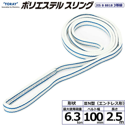 東レインターナショナル　ポリエステルスリング PET3N エンドレス形 6.3ton 幅100mm 長さ2.5m　【品番：PET3N 100×2.5】