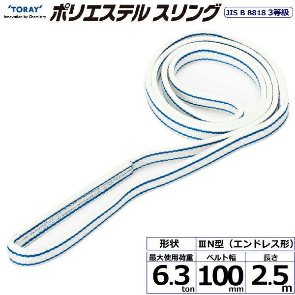 東レインターナショナル　ポリエステルスリング PET3N エンドレス形 6.3ton 幅100mm 長さ2.5m　【品番：PET3N 100×2.5】