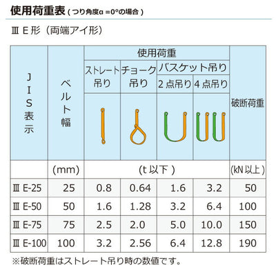 東レインターナショナル　ナイロンスリング N3E 両端アイ形 3.2ton 幅100mm 長さ5.5m　【品番：N3E 100×5.5】