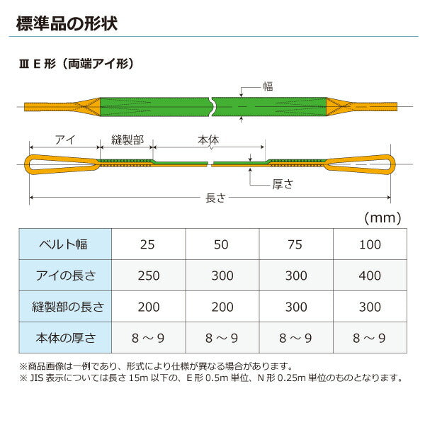 東レインターナショナル　ナイロンスリング N3E 両端アイ形 3.2ton 幅100mm 長さ6.5m　【品番：N3E 100×6.5】