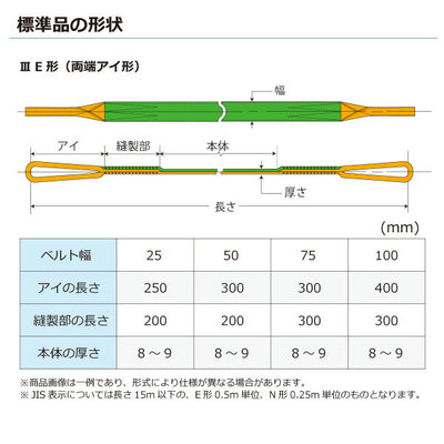 東レインターナショナル　ナイロンスリング N3E 両端アイ形 3.2ton 幅100mm 長さ9.5m　【品番：N3E 100×9.5】