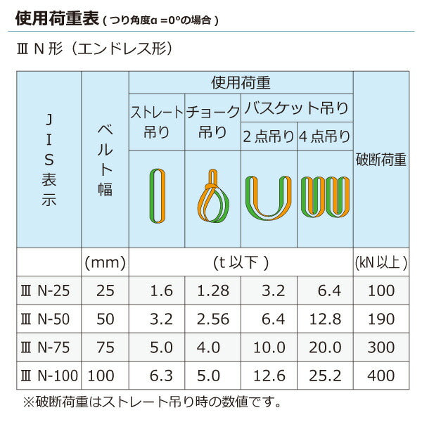 東レインターナショナル　ナイロンスリング N3N エンドレス形 6.3ton 幅100mm 長さ4m　【品番：N3N 100×4.0】