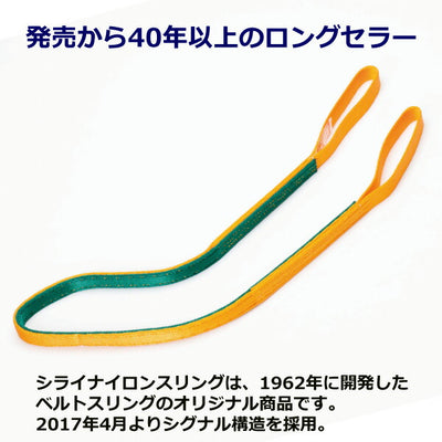 東レインターナショナル　ナイロンスリング N3N エンドレス形 6.3ton 幅100mm 長さ4.75m　【品番：N3N 100×4.75】