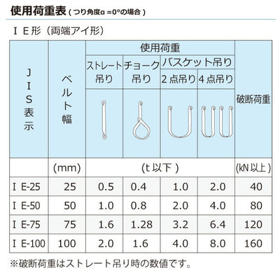東レインターナショナル　ケミカルスリング C1E 両端アイ形 0.5ton 幅25mm 長さ1.5m　【品番：C1E 25×1.5】