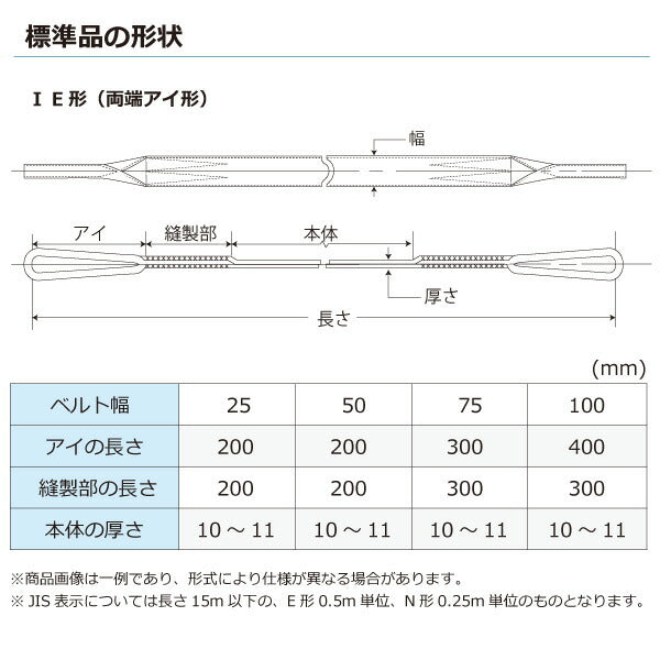 東レインターナショナル　ケミカルスリング C1E 両端アイ形 0.5ton 幅25mm 長さ10m　【品番：C1E 25×10.0】