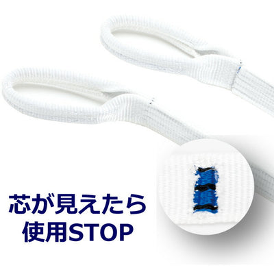 東レインターナショナル　ケミカルスリング C1N エンドレス形 1ton 幅25mm 長さ3.25m　【品番：C1N 25×3.25】