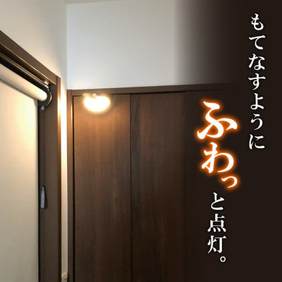 朝日電器（ELPA）　もてなしのあかり LED 明暗人感センサーライト ドア用　【品番：HLH-2206】