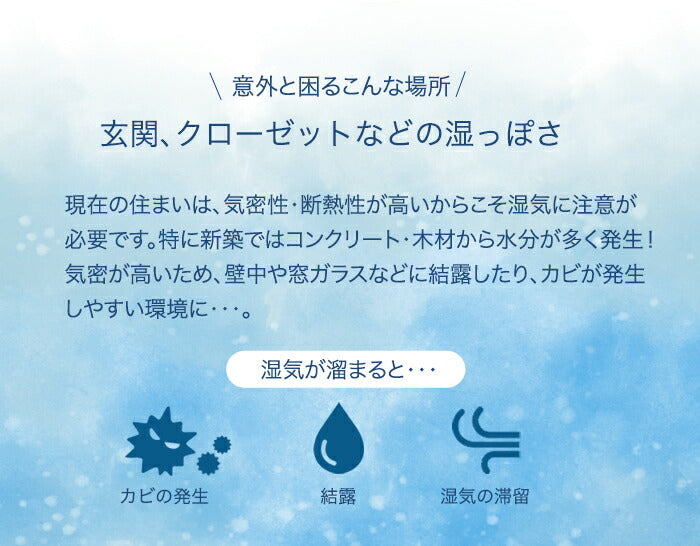 ドリテック　コンパクト除湿機「クアラ」　ホワイト　【品番：JY-100WT】●