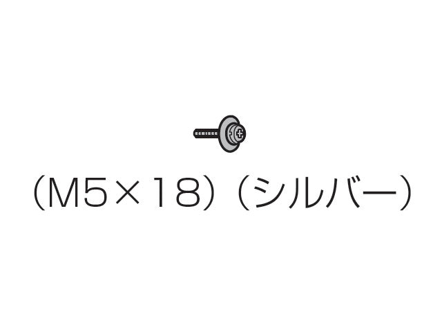 パナソニック　固定用ねじ（M5×18）（シルバー）　【品番：XYN5+F18FN】