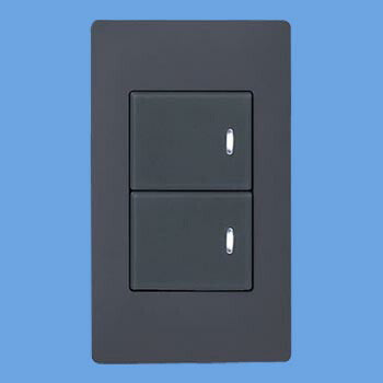パナソニック　アドバンスシリーズ 埋込ダブルスイッチ用ハンドル（表示付）（マットグレー）　【品番：WTA3022H】