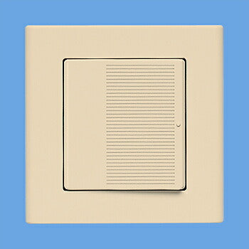 パナソニック　コスモシリーズワイド21 ミニスイッチプレート（取付枠付）（ベージュ）　【品番：WT8071F】