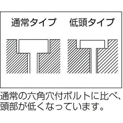 トラスコ中山（TRUSCO）　低頭六角穴付ボルト ステンレス全ネジ M5×20 11本入　【品番：B089-0520】