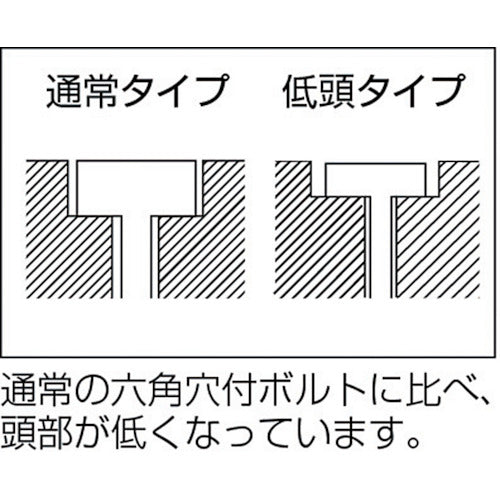 トラスコ中山（TRUSCO）　低頭六角穴付ボルト ステンレス全ネジ M5×20 11本入　【品番：B089-0520】