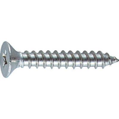 トラスコ中山（TRUSCO）　皿頭タッピングねじ ステンレス M3×10 150本入　【品番：B10-0310】