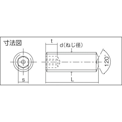 トラスコ中山（TRUSCO）　ピン付六角穴止めねじ 黒染 M8×16 9本入　【品番：B105-0816】
