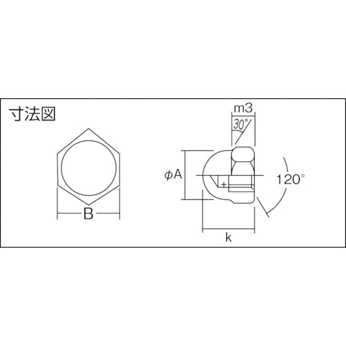 トラスコ中山（TRUSCO）　袋ナット ステンレス サイズM3×0.5 40個入　【品番：B40-0003】
