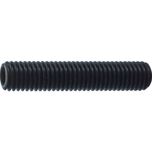 トラスコ中山（TRUSCO）　六角穴付き止めネジ 平先 スチール M10×20 30本入　【品番：B63-1020】