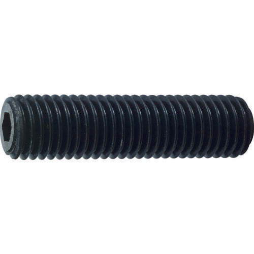 トラスコ中山（TRUSCO）　六角穴付き止めネジ 平先 スチール M12×60 8本入　【品番：B63-1260】