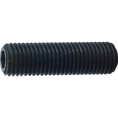 トラスコ中山（TRUSCO）　六角穴付き止めネジ 平先 スチール M16×55 3本入　【品番：B63-1655】