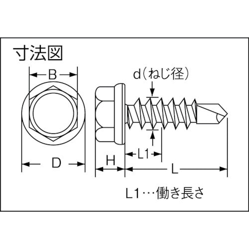 トラスコ中山（TRUSCO）　ドリルねじヘックス ステンレス M5×19 19本入　【品番：SHJB-19】