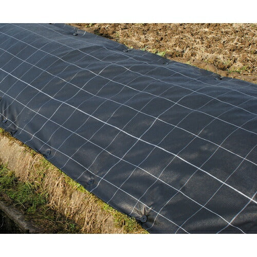 トラスコ中山（TRUSCO）　スクリューキーパー 50本入　【品番：SK-50P】